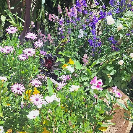 شقة I Girasoli - South Sardinia - كابوتيرا